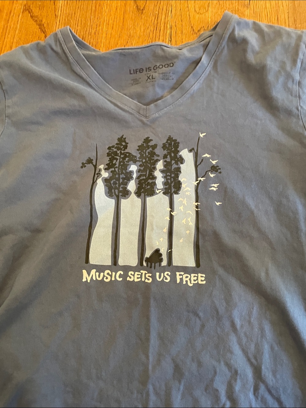 Life Is Good Blue Women’s V-Neck Tee with Forest Music Graphic